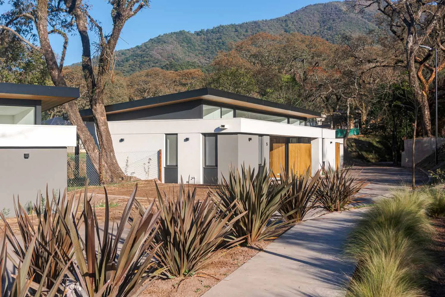 Vivienda de El Retiro Housing: volumen blanco con un techo de borde oscuro que vuela sobre una franja de ventanas altas, puertas de madera, un camino de hormigón entre plantas de hojas largas color bronce y gramíneas, y árboles y el cerro detrás