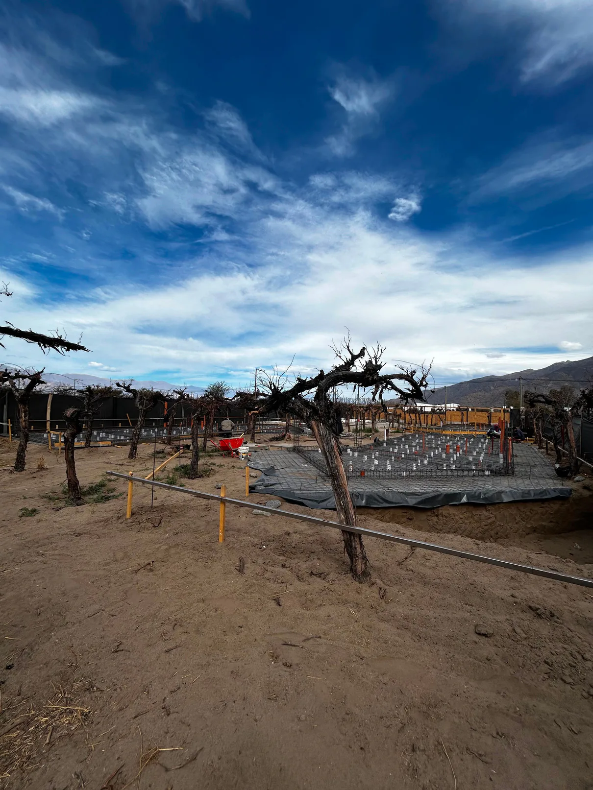 Foto de obra: armado de una platea, con la malla de hierro y los hierros de arranque sobre film negro, entre cepas viejas de vid sin hojas; una carretilla roja, estacas, cercos vecinos al fondo y cerros bajo un cielo azul con nubes.